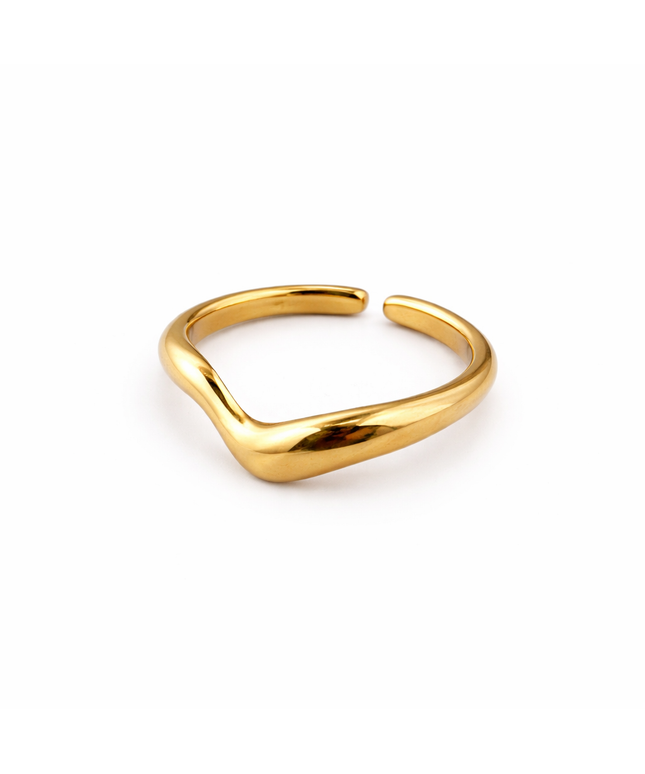 Modern Curve Ring